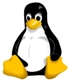linux_penguin.jpg