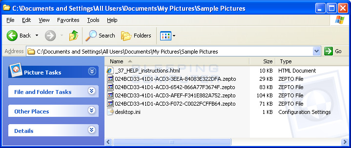 Files with the Zepto Extension