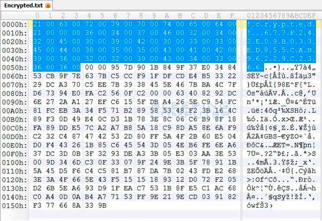 Hex Editor showing Encrypted File