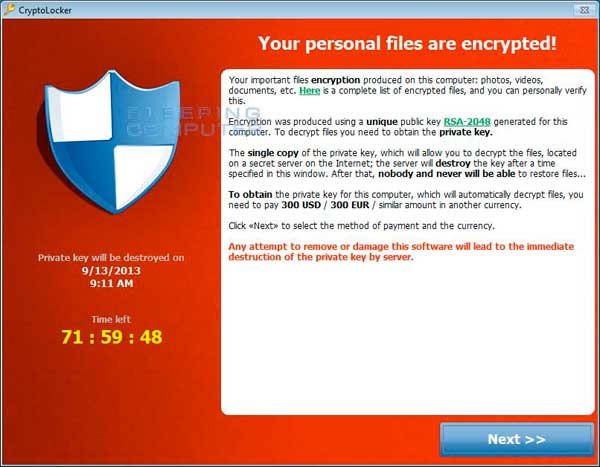 CryptoLocker payment screen