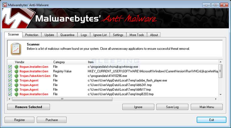 MalwareBytes Scan Results