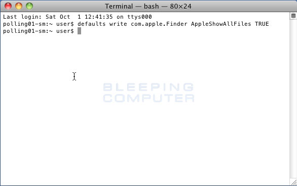 Terminal after the first command