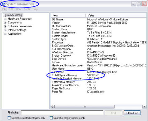 System Information Window