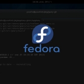 Fedora