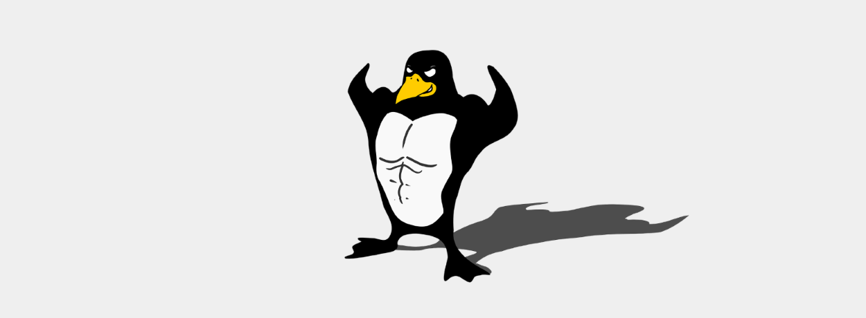 LinuxPenguin.png