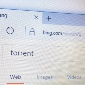 Torrent Piracy