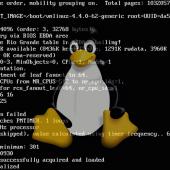 Linux Kernel