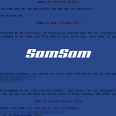 New SamSam Variant Requires Special Password Before Infection Image