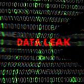Data leaking