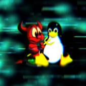 Linux and FreeBSD