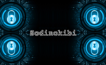 A Look Inside the Highly Profitable Sodinokibi Ransomware Business Image
