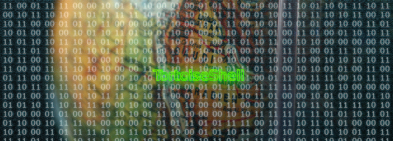 New TortoiseShell Group Hacks 11 IT Providers to Reach Their Customers