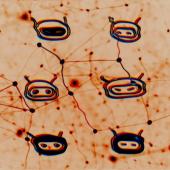 Botnet P2P Peer-to-peer