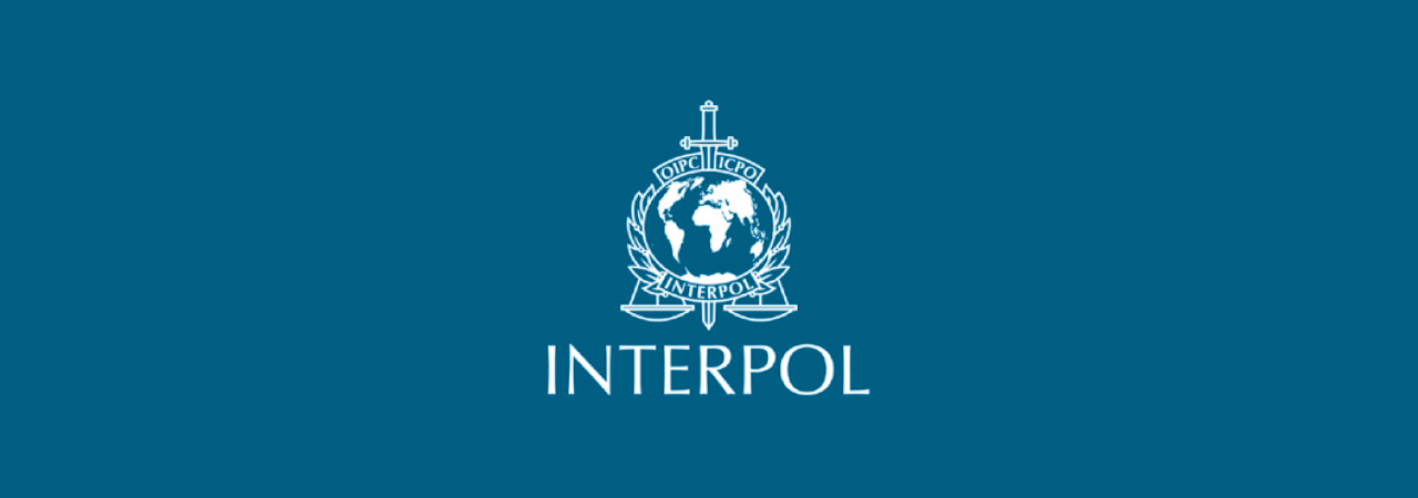 Interpol: Ransomware attacks on hospitals are increasing