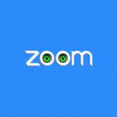 Zoom Privacy