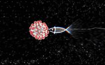 Coronavirus Phishing Attacks Are Actively Targeting the US Image