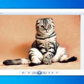 Windows Photo Viewer