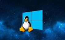Windows 10 WSL now can run Linux commands on startup Image