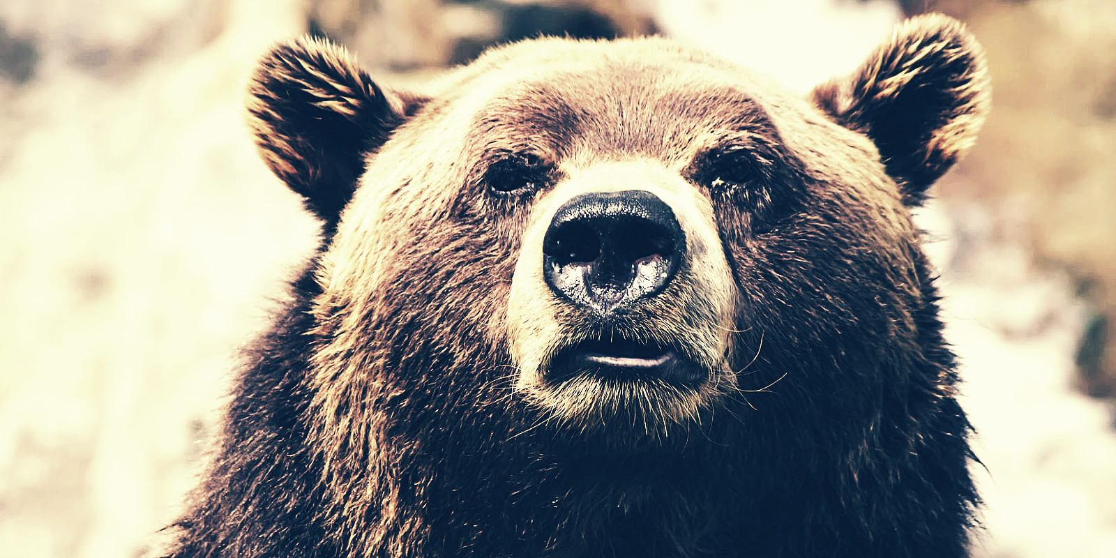 US shares info on Russian malware used to target parliaments, embassies