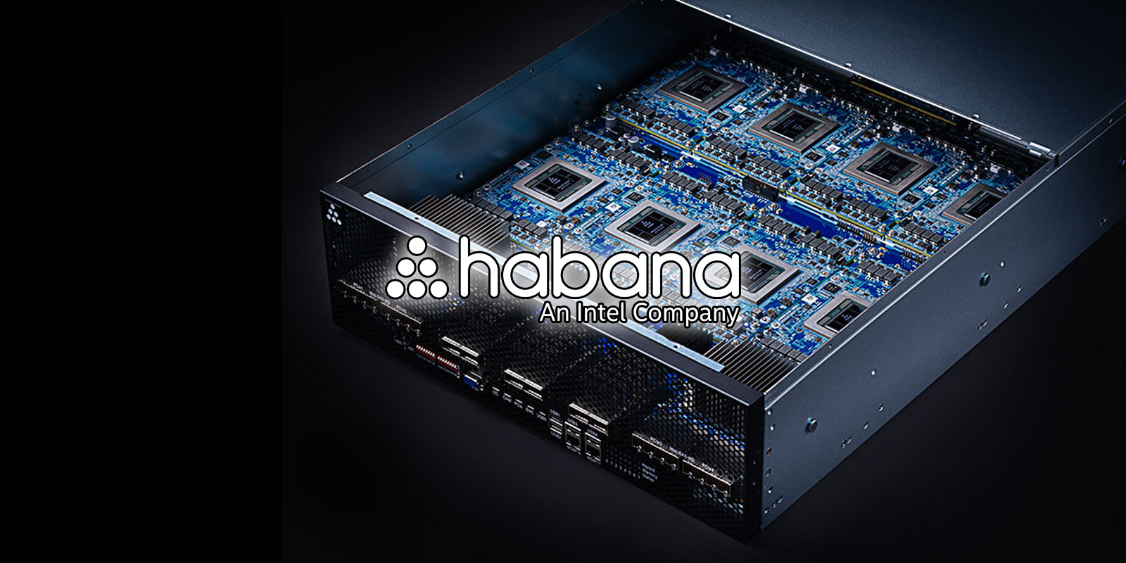 Habana Labs