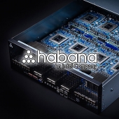 Habana Labs