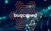 Pandemic year increases bug bounties and report submissions Image