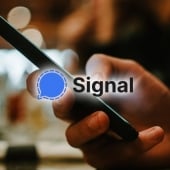 Signal