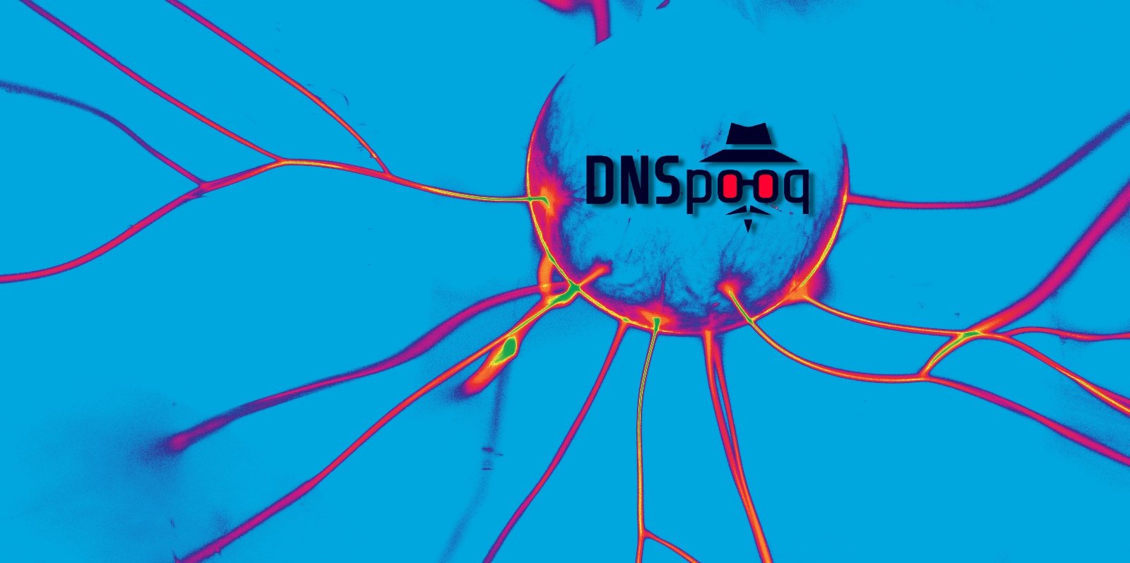 DNSpooq错误使攻击者可以劫持数百万个设备上的DNS