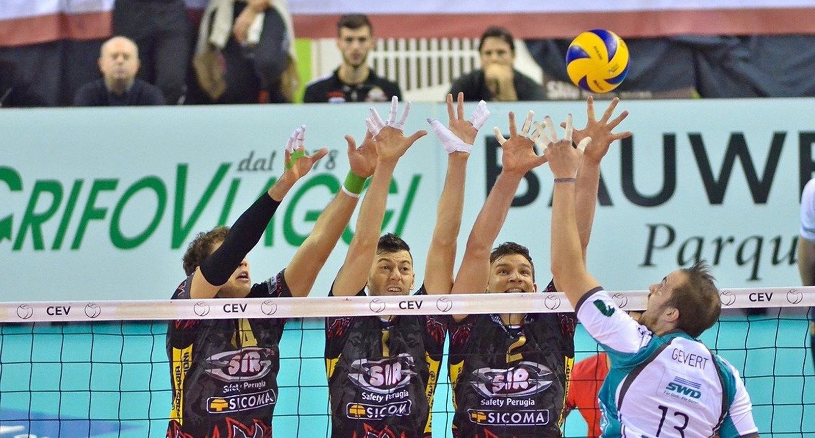 eu-pro-volleyball.jpg
