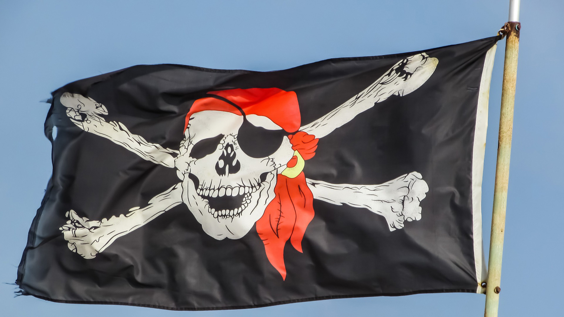 Pirate flag