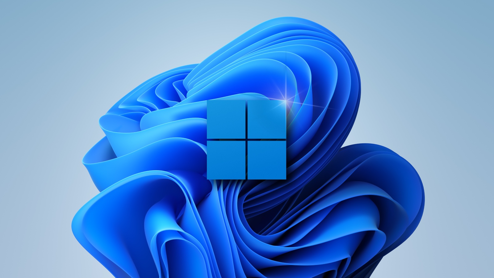 Windows 11