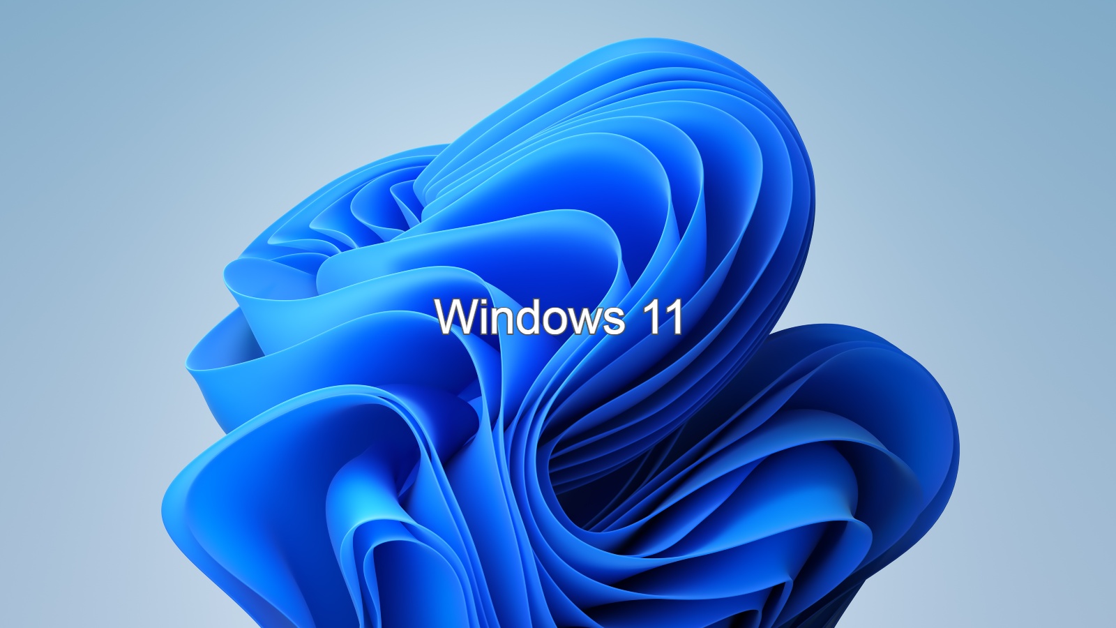 Windows 11