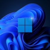 Windows 11