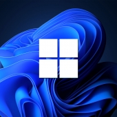 Windows 11