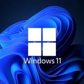 Windows 11