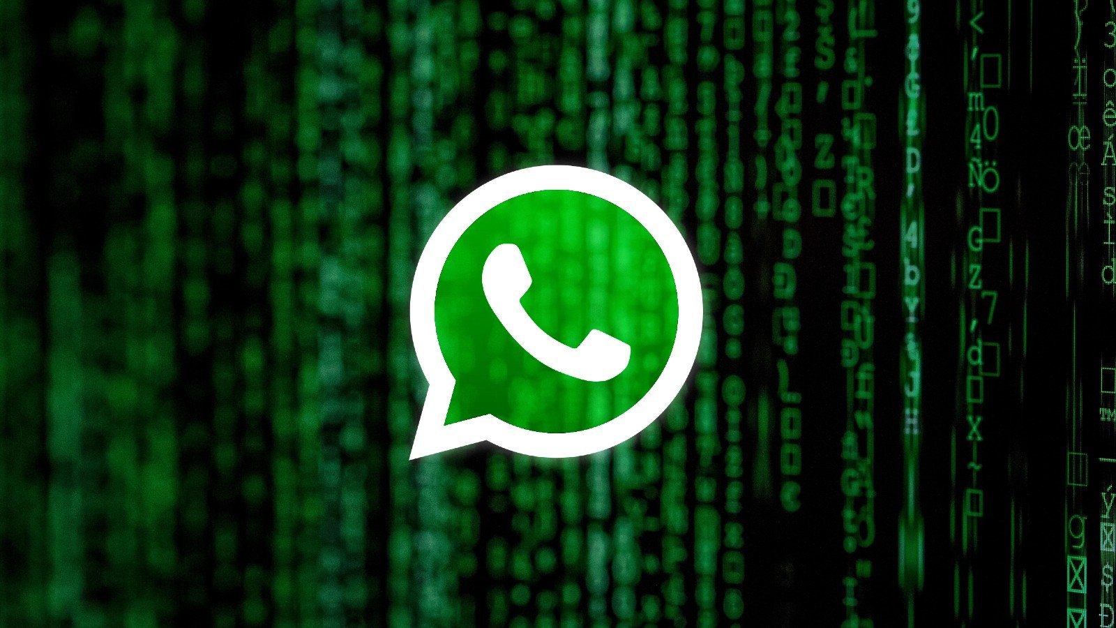 Meta sues app dev for stealing over 1 million WhatsApp accounts