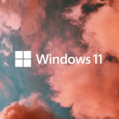 Windows 11