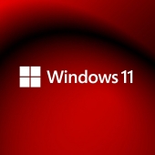 Windows 11