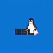 Windows Subsystem Linux