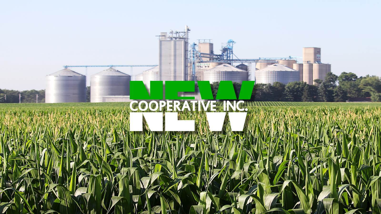 NEW Cooperative