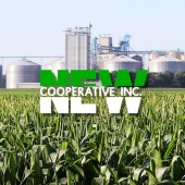 NEW Cooperative