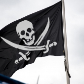 pirate flag