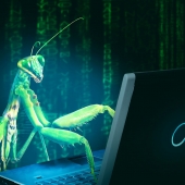 code bug