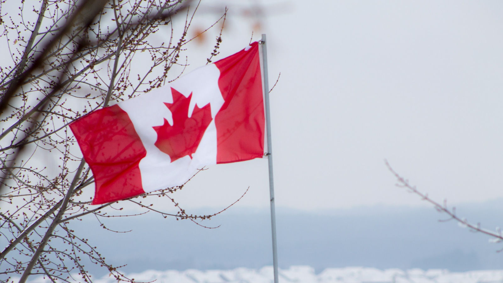 canada flag