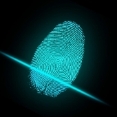 fingerprint