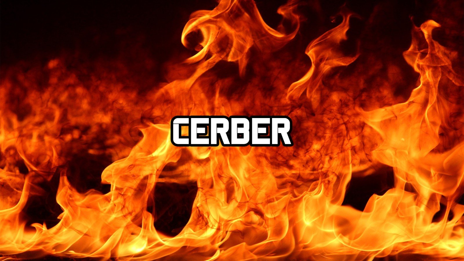 Cerber