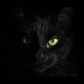 BlackCat ALPHV ransomware