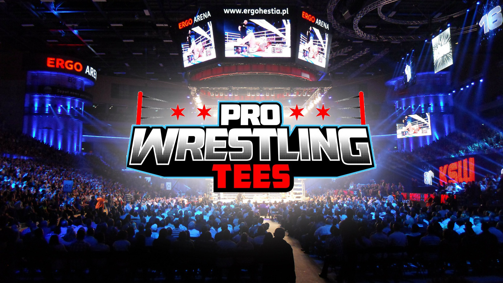 Professional Wrestling Tees discloses knowledge breach after bank cards stolen