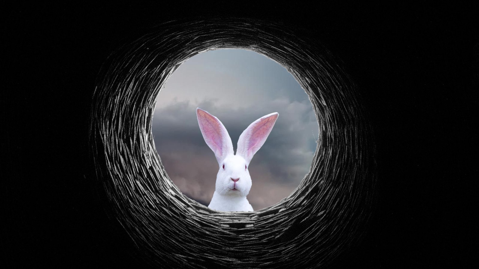 White Rabbit looking down a rabbit hole