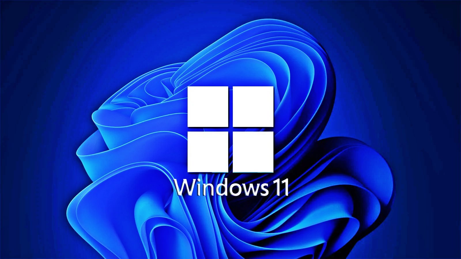 Windows 11